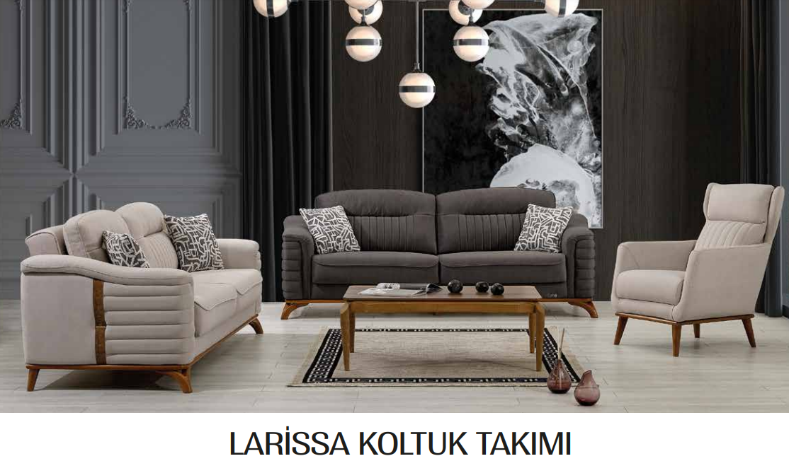 Larissa Koltuk Takımı