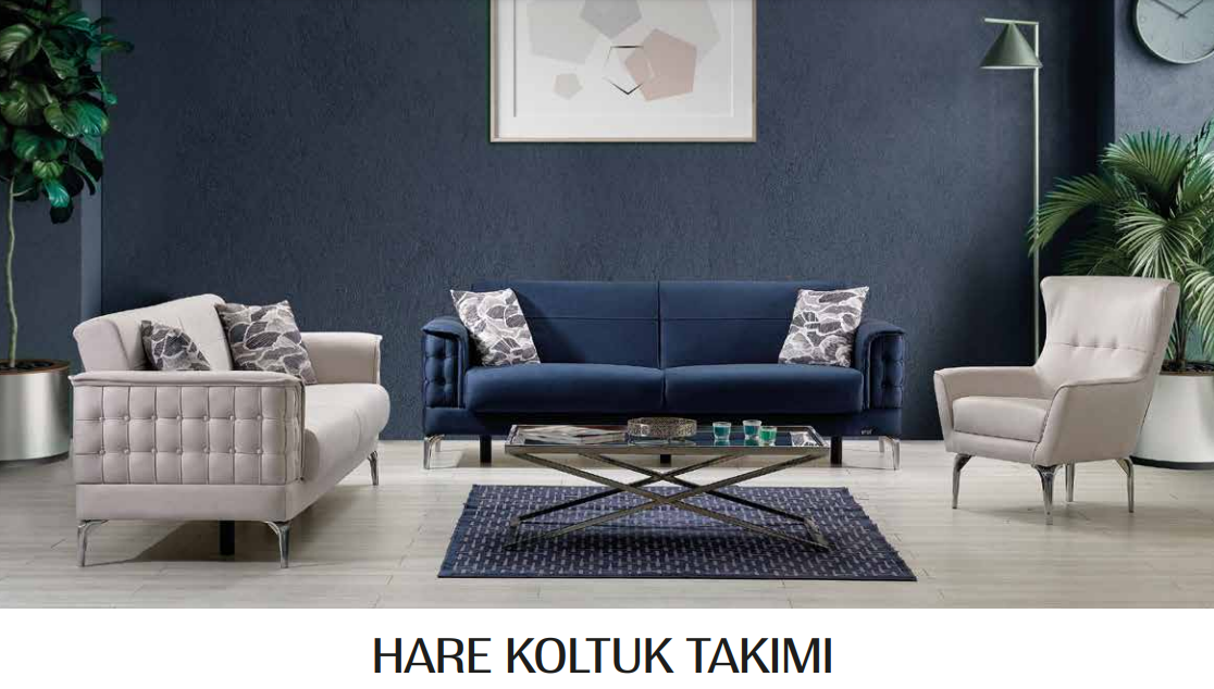 Hare Koltuk Takımı