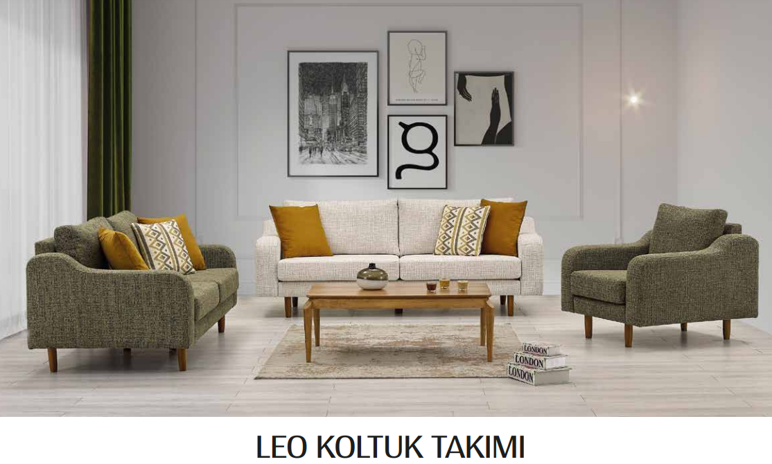 Leo Koltuk Takımı