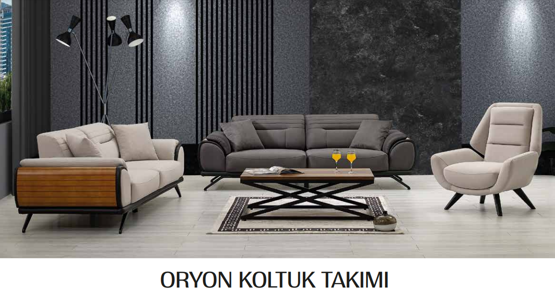 Oryon Koltuk Takımı